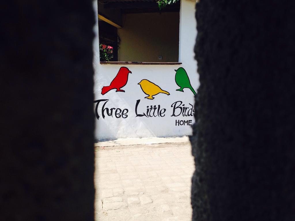 Three Little Birds Homestay Gili Trawangan Exterior photo